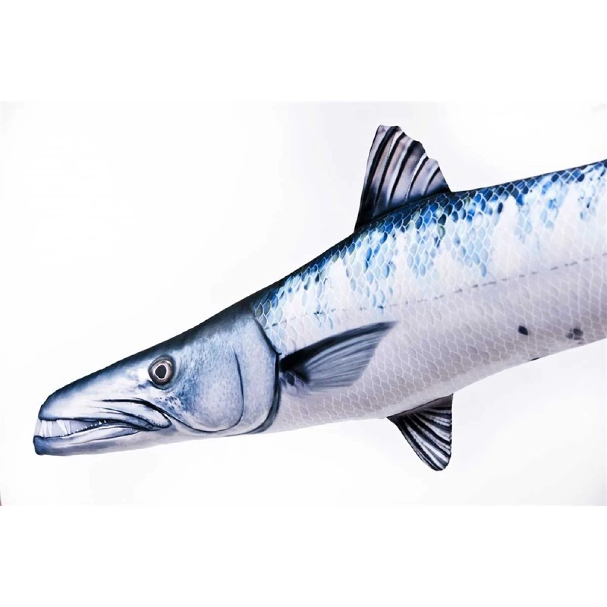 GABY FISH SPHYRAENA BARRACUDA 110cm