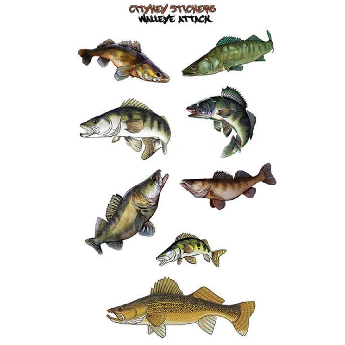 CITYKEY STICKERS Walleye Attack Serisi Balık Figürü Sticker