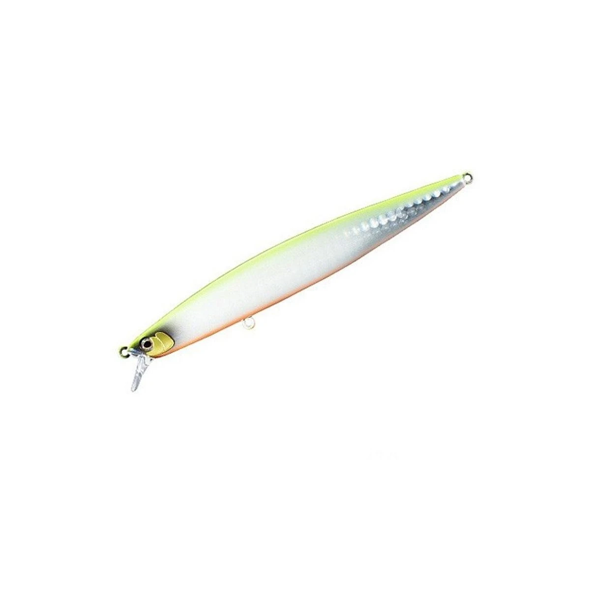 SHIMANO Exsence Escrime 119F Arc Maket Yem 10T
