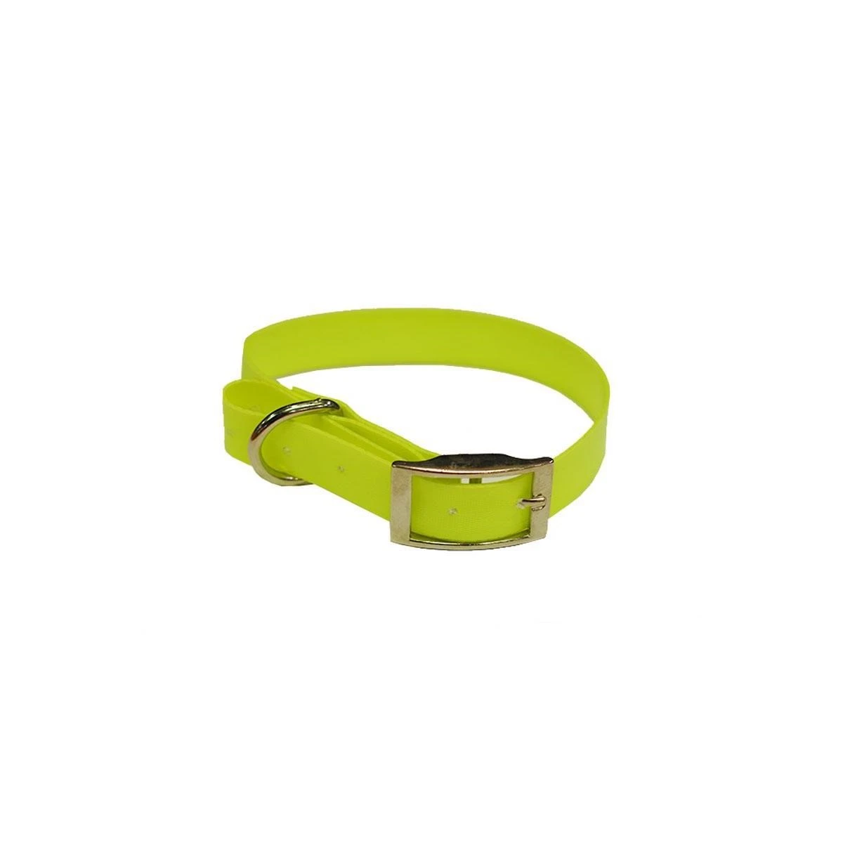 Köpek Tasması Fıstık Yeşili