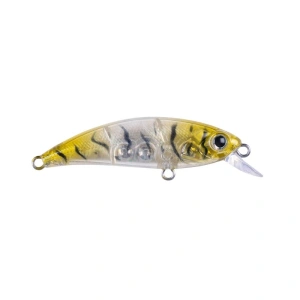HANFISH Zıpır SPK-22 Glass Shrimp