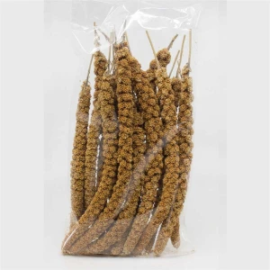 ALP BIRD Dal Darı 200 gr