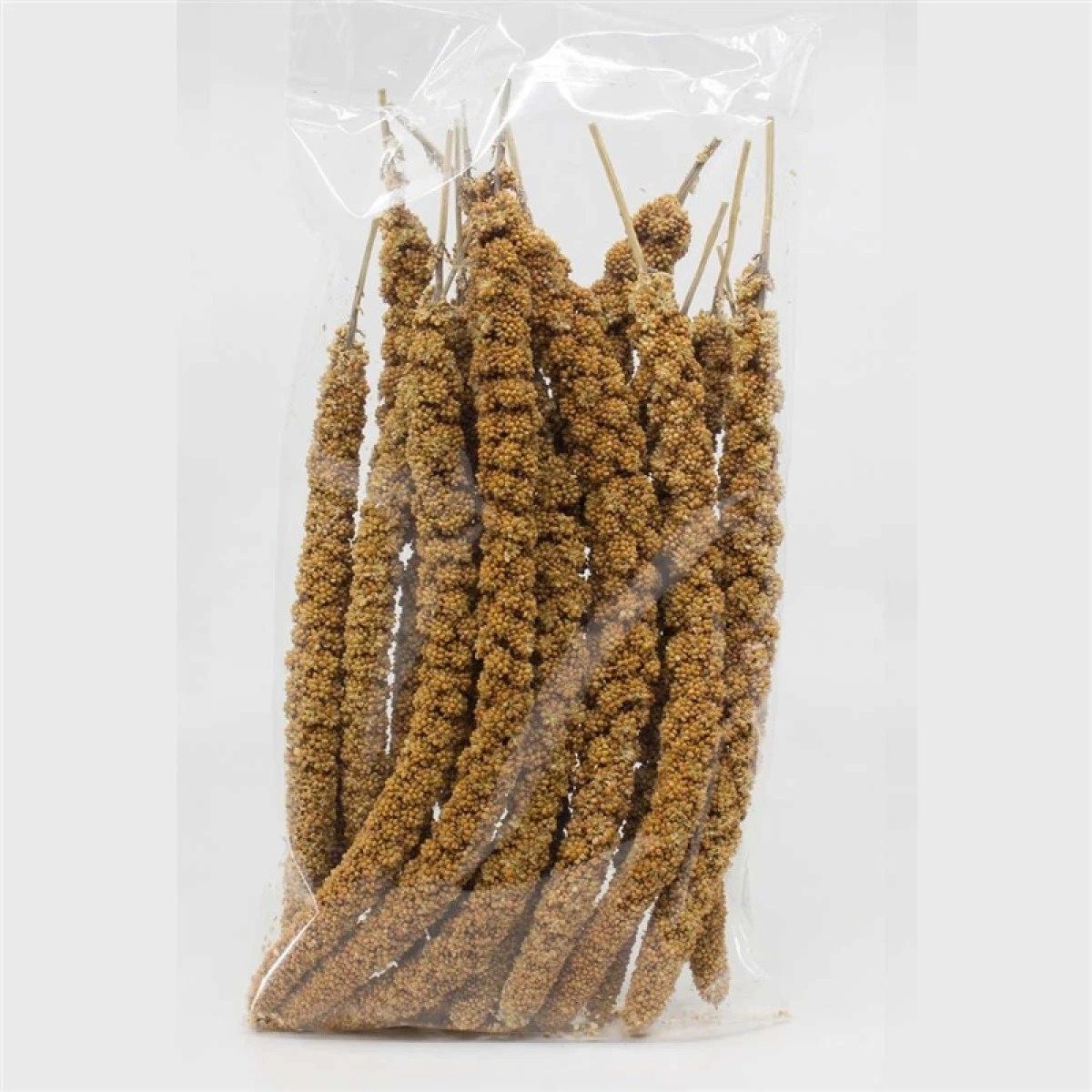 ALP BIRD Dal Darı 200 gr