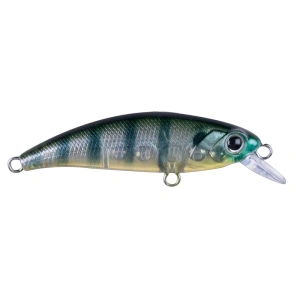 HANFISH Zıpır SPK-21 Aport Limited