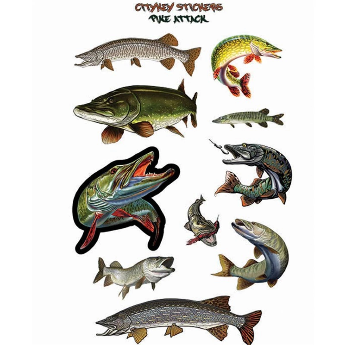 CITYKEY STICKERS Pike Attack Serisi Balık Figürü Sticker