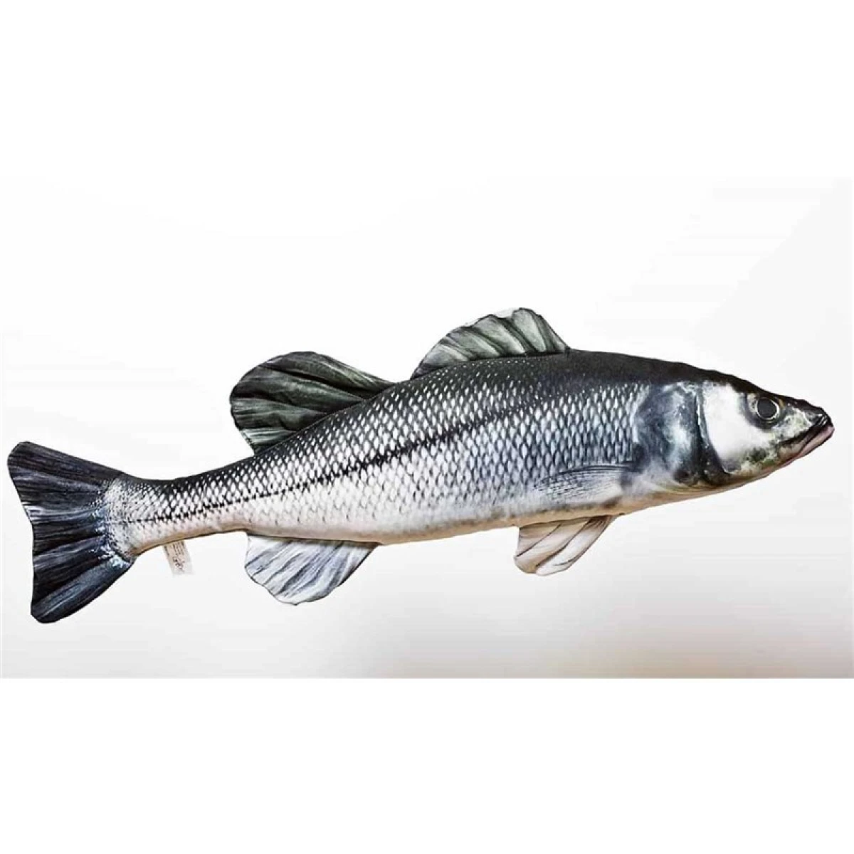 GABY FISH DICENTRARCHUS LABRAX 70cm