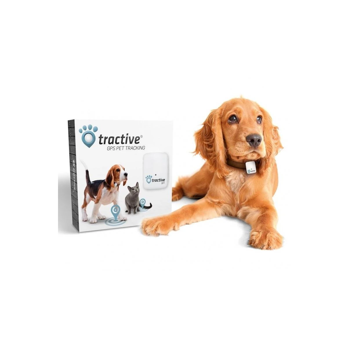 TRACTIVE Kedi Köpek Takip Cihazı