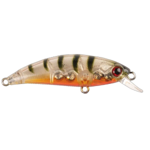 HANFISH Zıpır K-13 Ghost Shrimp