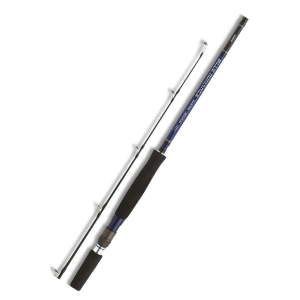 SHIMANO Blue Romance Shore Jigging Serisi Olta Kamışı 300 cm