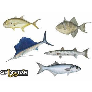 SPINSTAR Salt Water Serisi Sticker No: 2