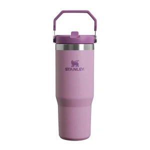 Stanley The IceFlow Flip Straw Pipetli Termos Bardak 0,89 LT - Lila