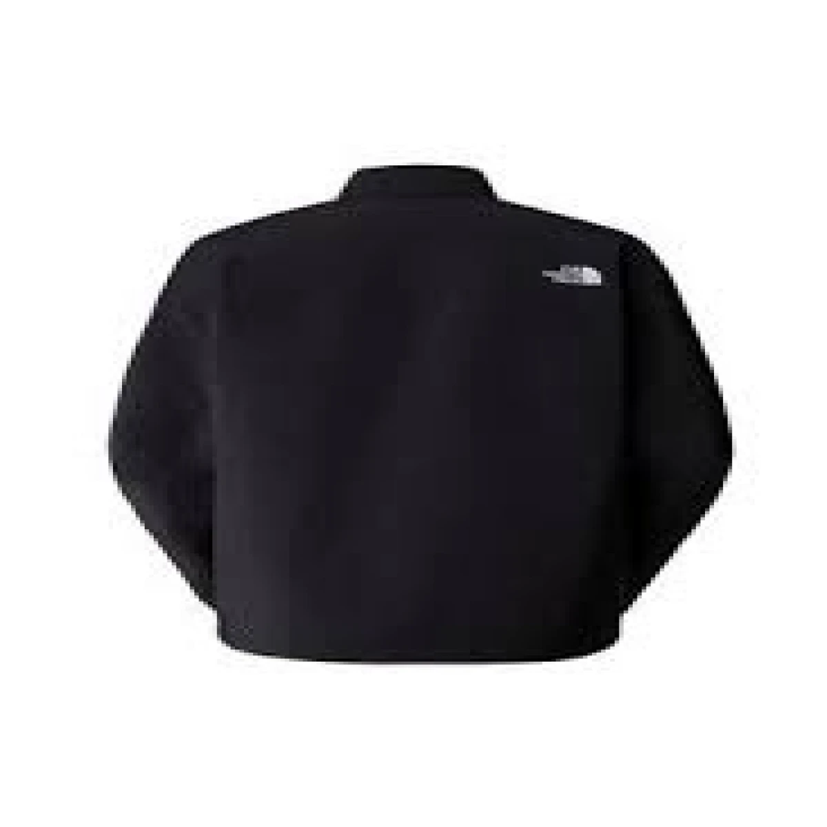 The North Face M TNF EASY WIND COACHES JACKET Erkek Ceket