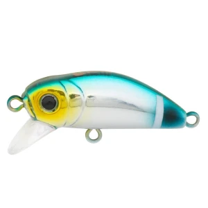HANFISH Bıdık 35 X-108 Melanur