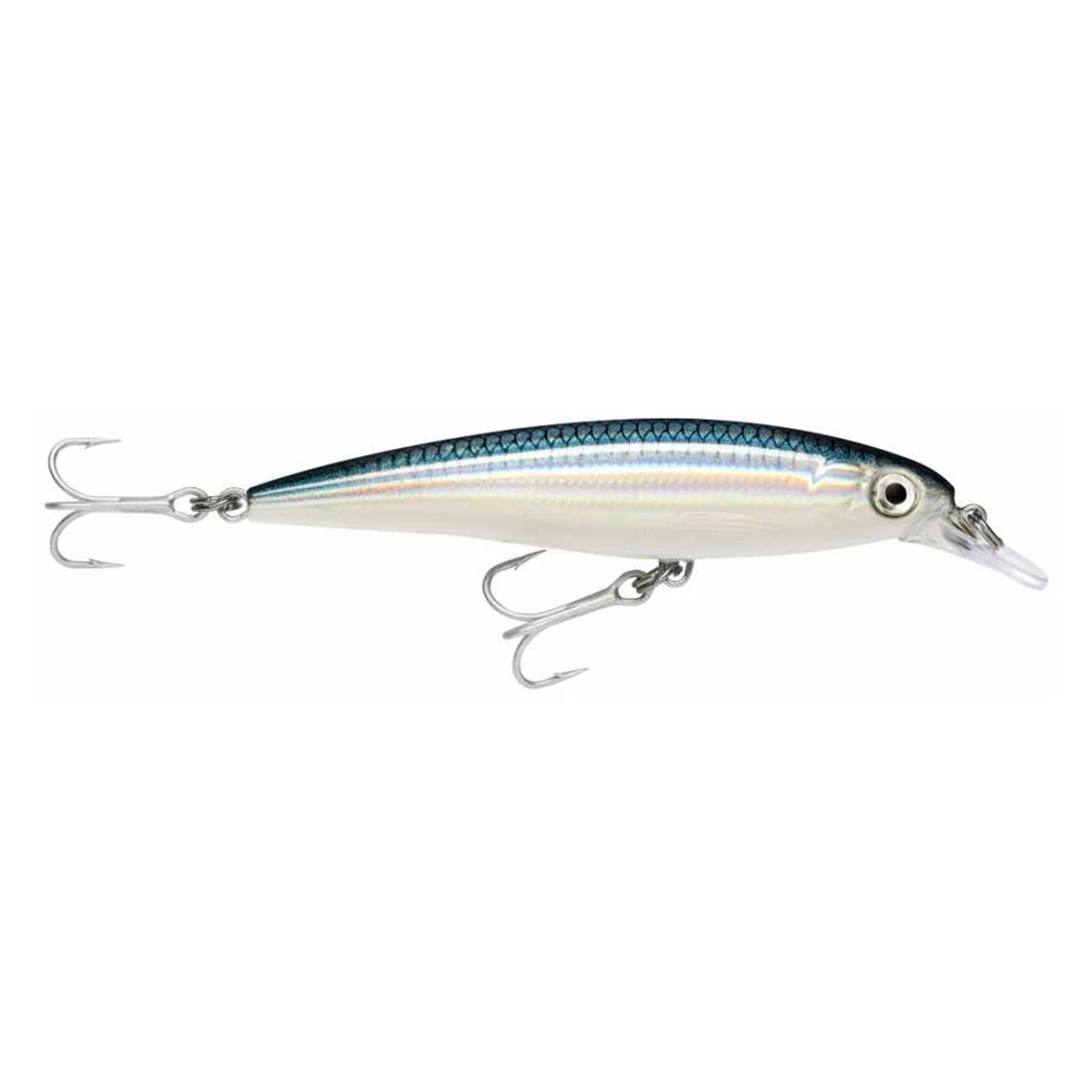 Rapala X-Rap Saltwater Sahte Balığı BFH 100mm