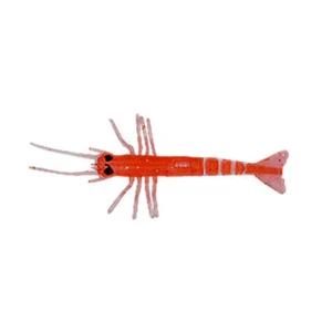 Liman Karides Silikon Küçük 50 adetli - 05