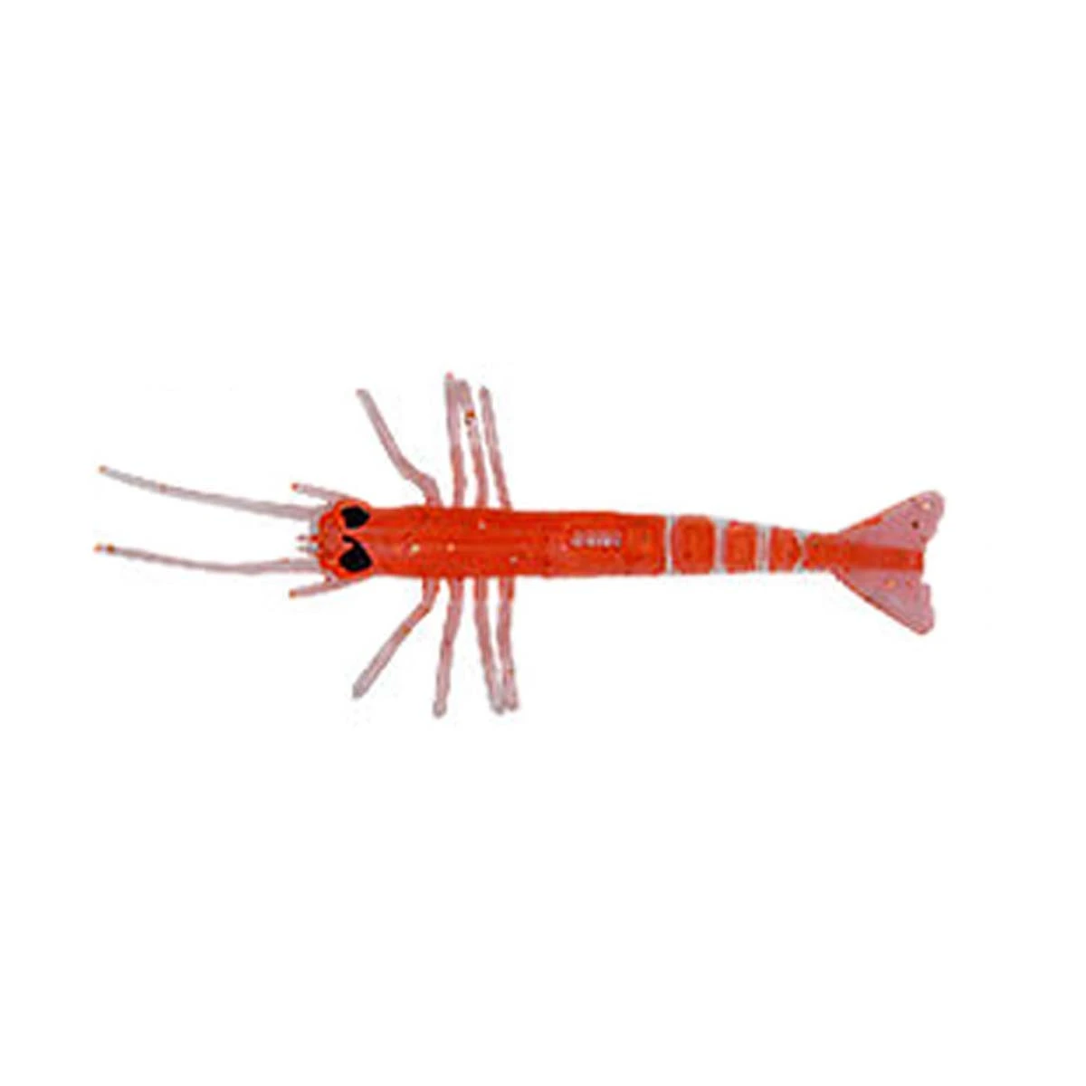 Liman Karides Silikon Küçük 50 adetli - 05