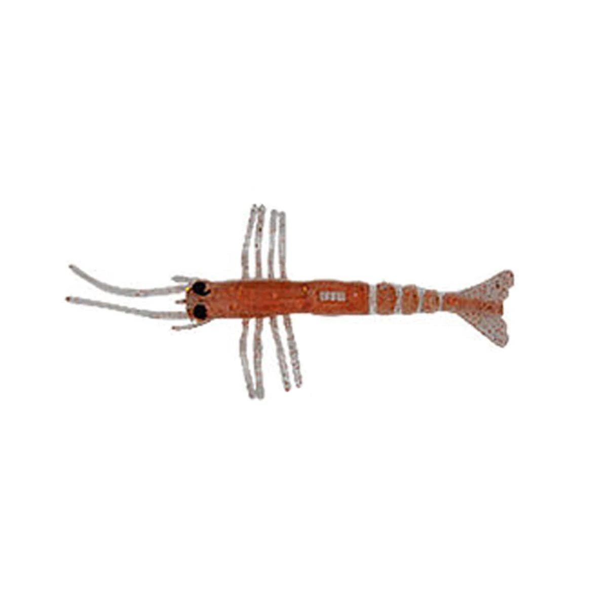 Liman Karides Silikon Küçük 50 adetli - 04