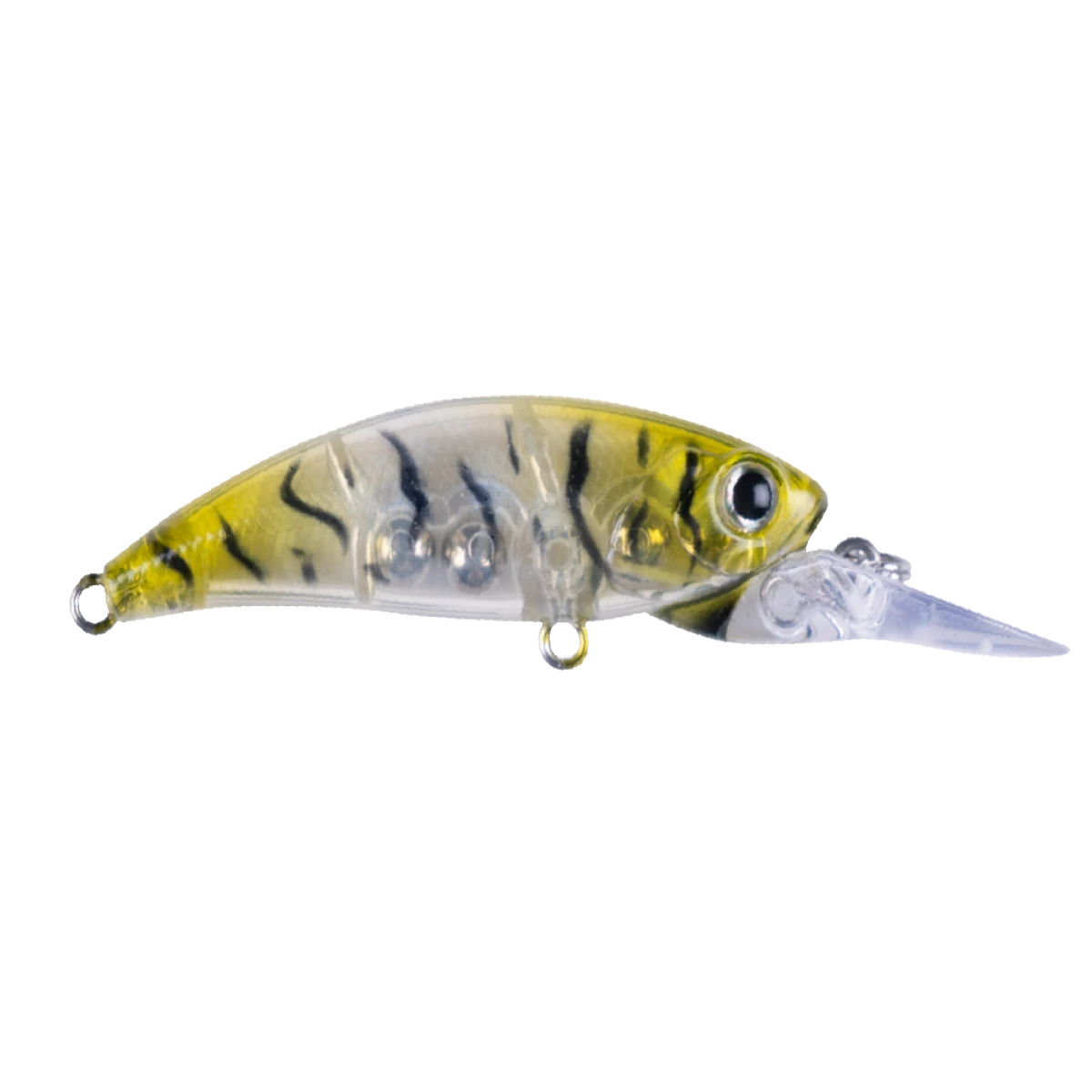 HANFISH Zıpır SPU22- Glass Shrimp