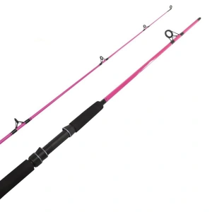 Fladen Festival 2P 10-30G Pembe Kamış 180 CM