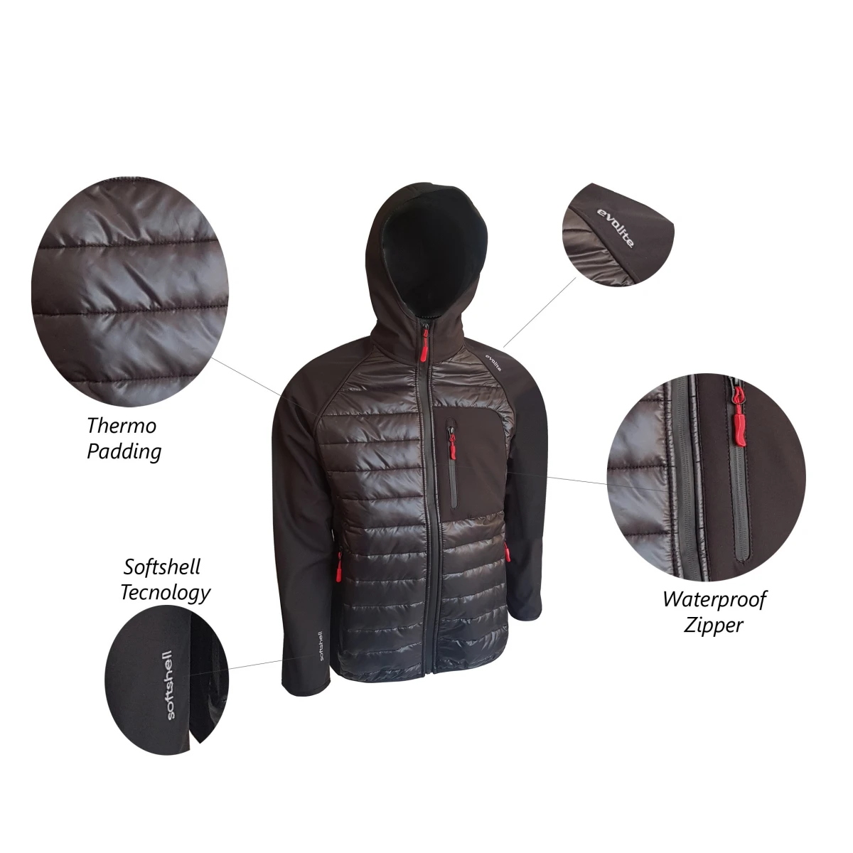 Evolite Shadow Softshell Mont - L