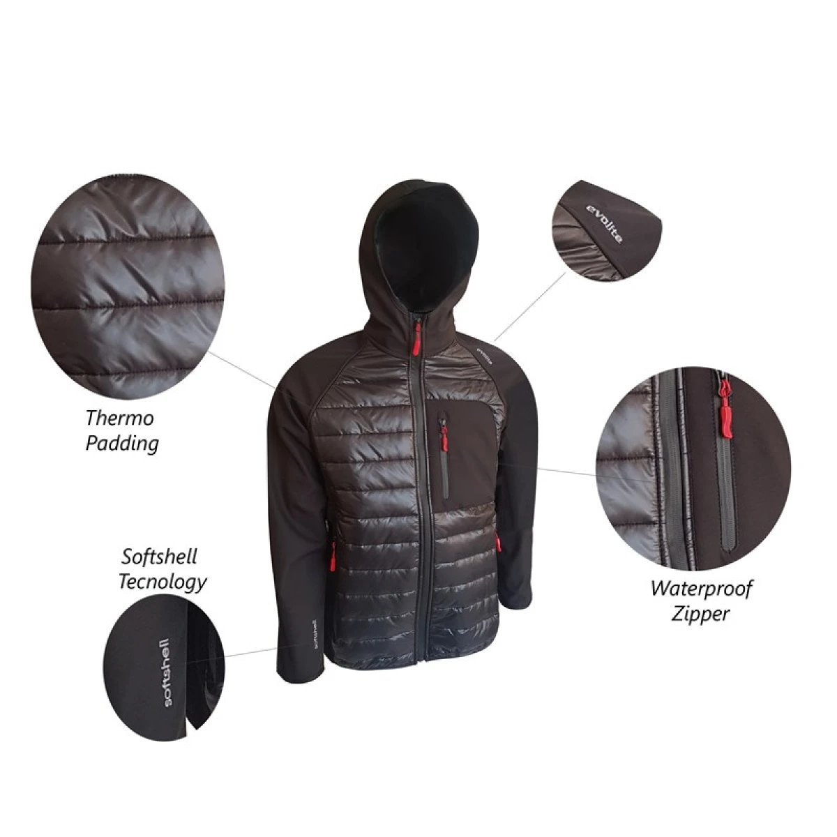 Evolite Shadow Softshell Mont - L
