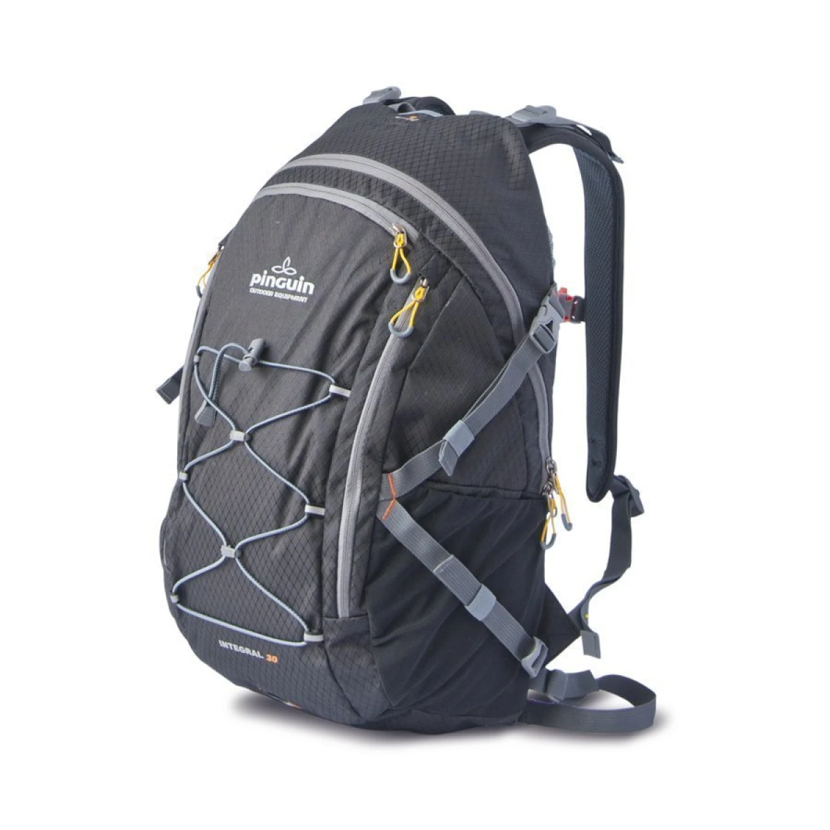 PINGUIN RUCKSACKS INTEGRAL SIRT CANTASI - SIYAH