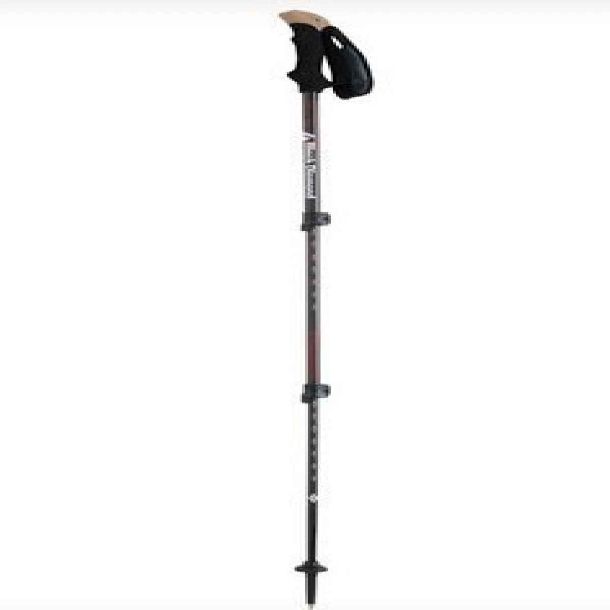 BLACK DIAMOND Alpine Carbon Tek Baton