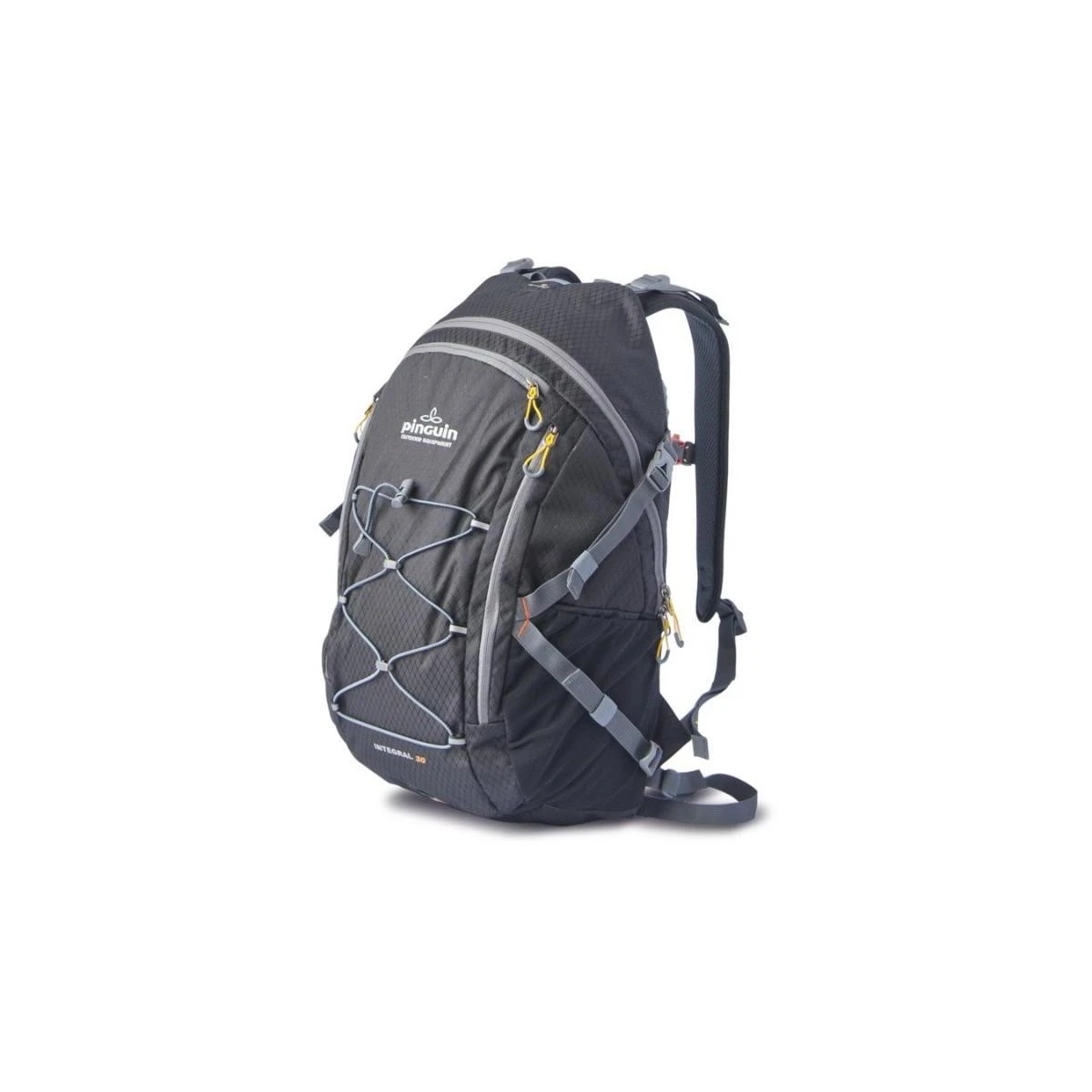 PINGUIN RUCKSACKS INTEGRAL SIRT CANTASI - SIYAH