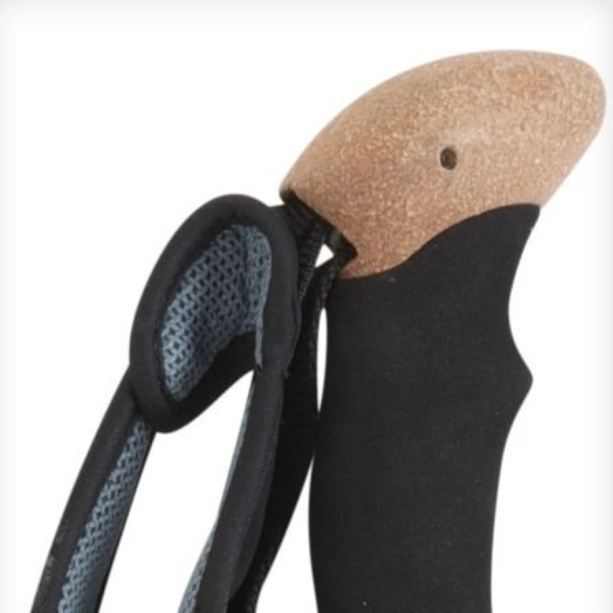 BLACK DIAMOND Alpine Carbon Tek Baton