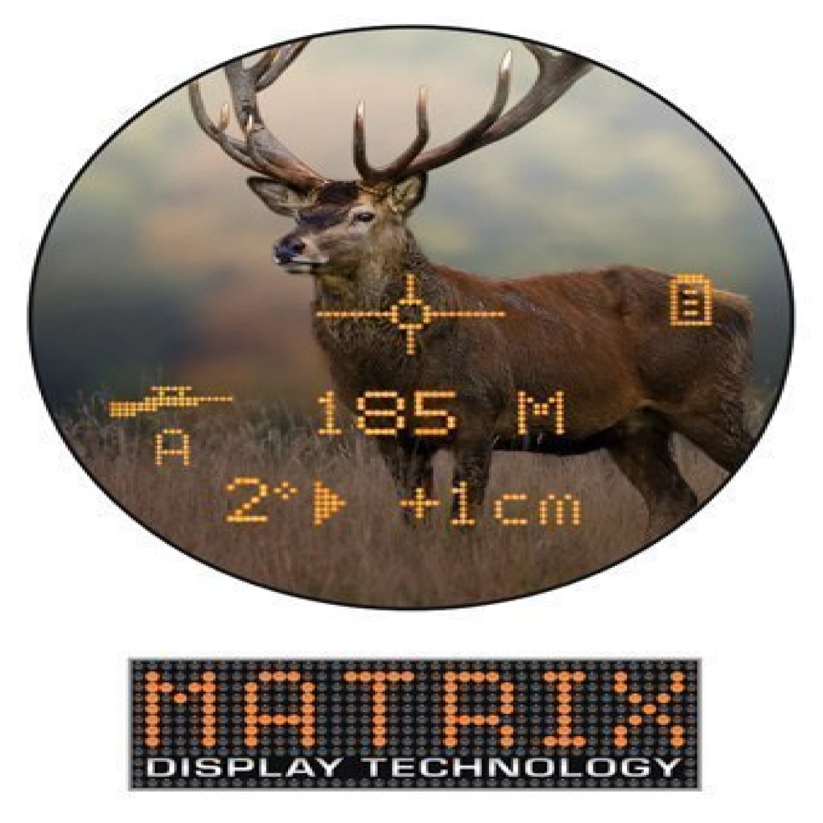 BUSHNELL Fusion 8x32 Dürbün