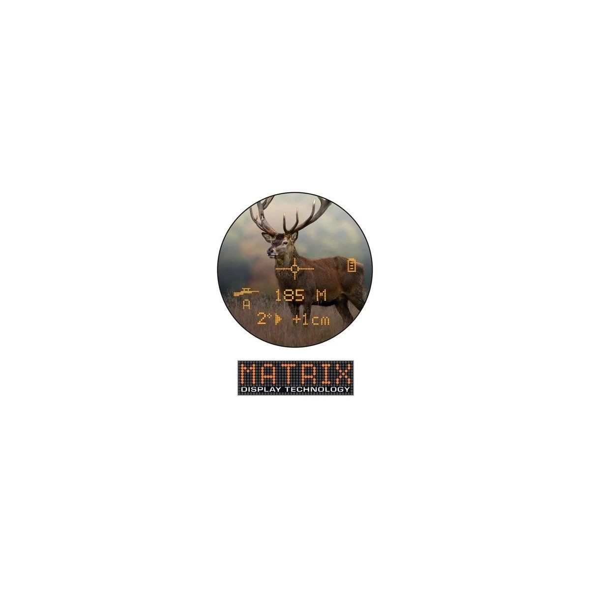 BUSHNELL Fusion 8x32 Dürbün