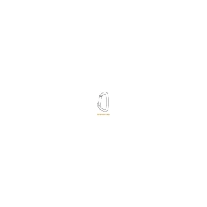CLIMBING TECHNOLOGY Passion Karabina Silver