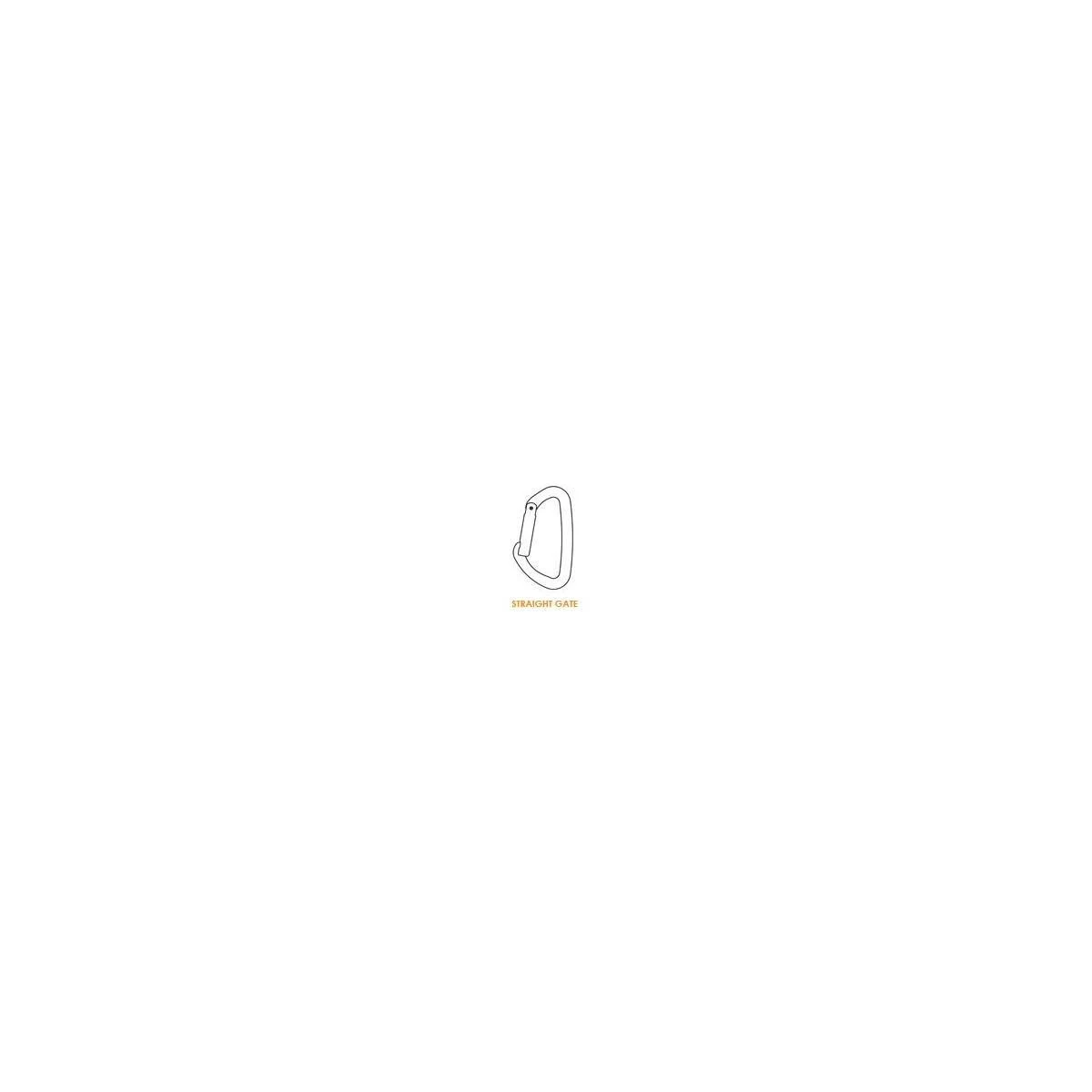 CLIMBING TECHNOLOGY Passion Karabina Silver