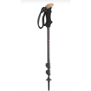 BLACK DIAMOND Alpine Carbon Tek Baton
