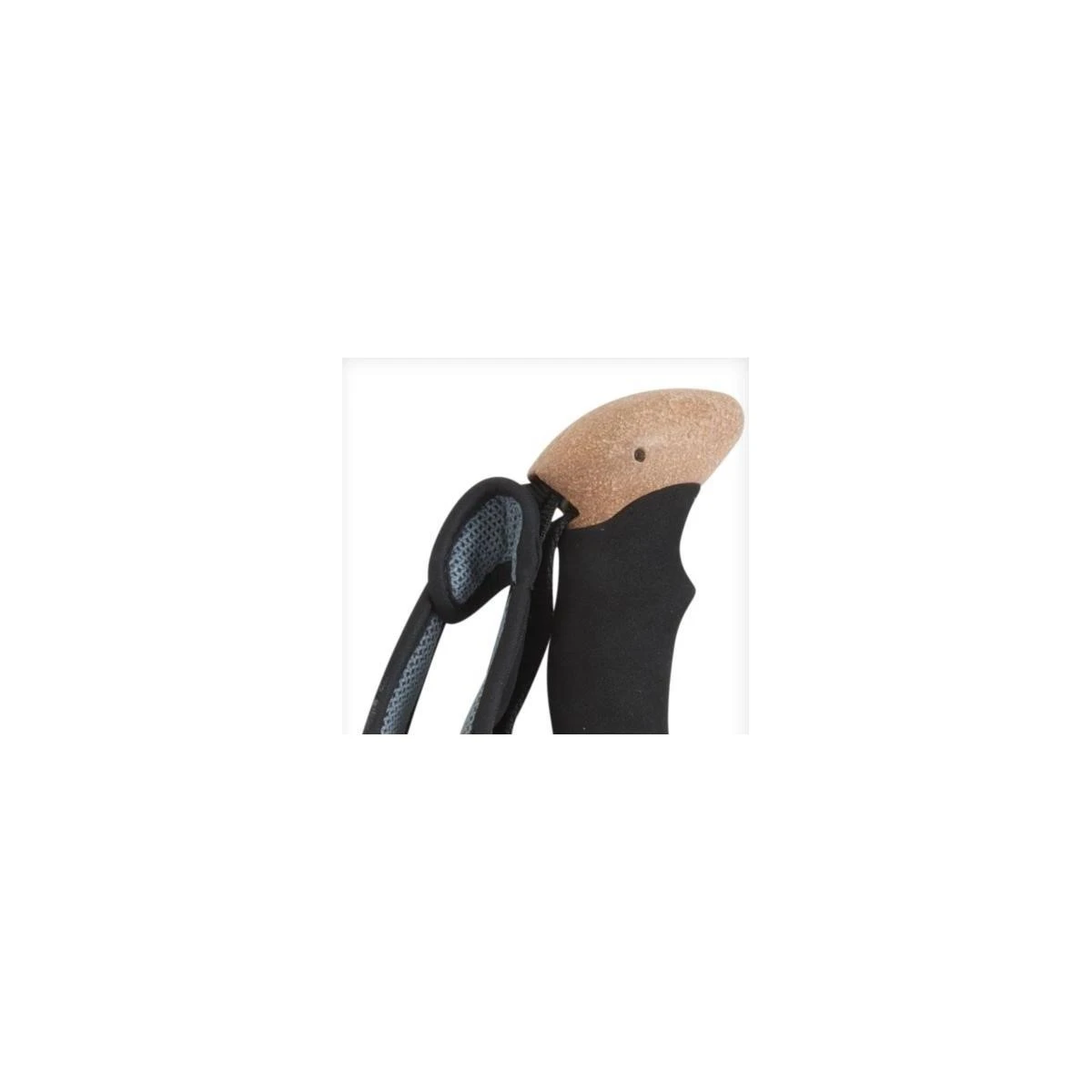 BLACK DIAMOND Alpine Carbon Tek Baton
