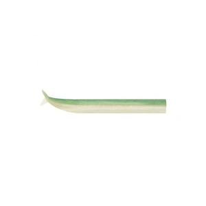 FIIISH Crazy Sand Ell 100 3 Corps Silikon Yem Vert Nacre