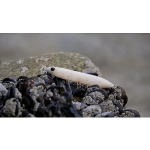 FIIISH Biotop Stick 100mm 15gr White Pepper Suni Yem