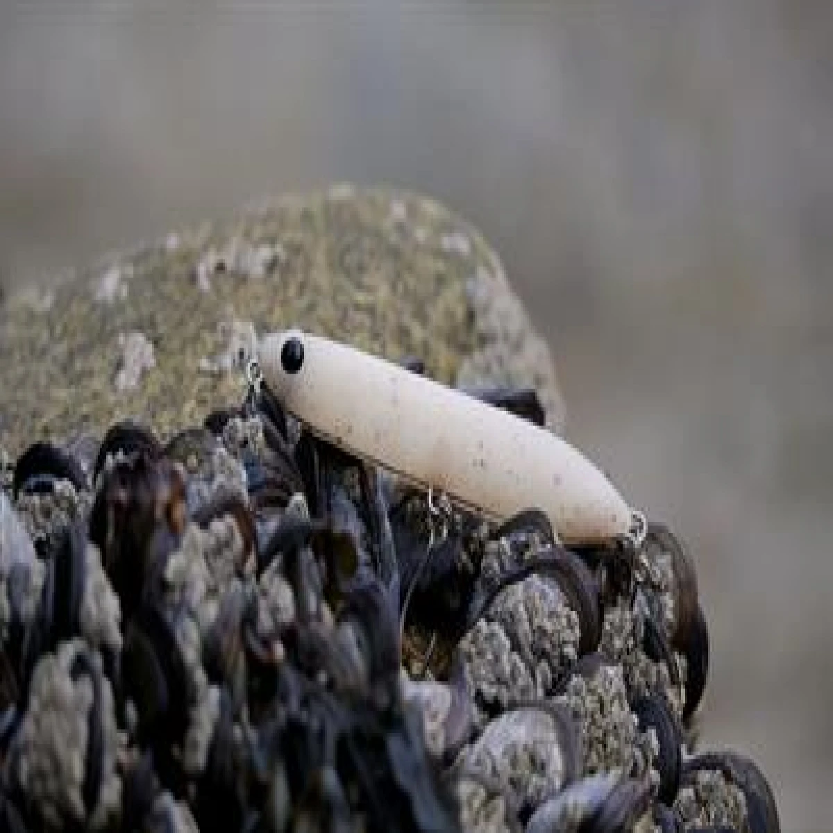 FIIISH Biotop Stick 100mm 15gr White Pepper Suni Yem