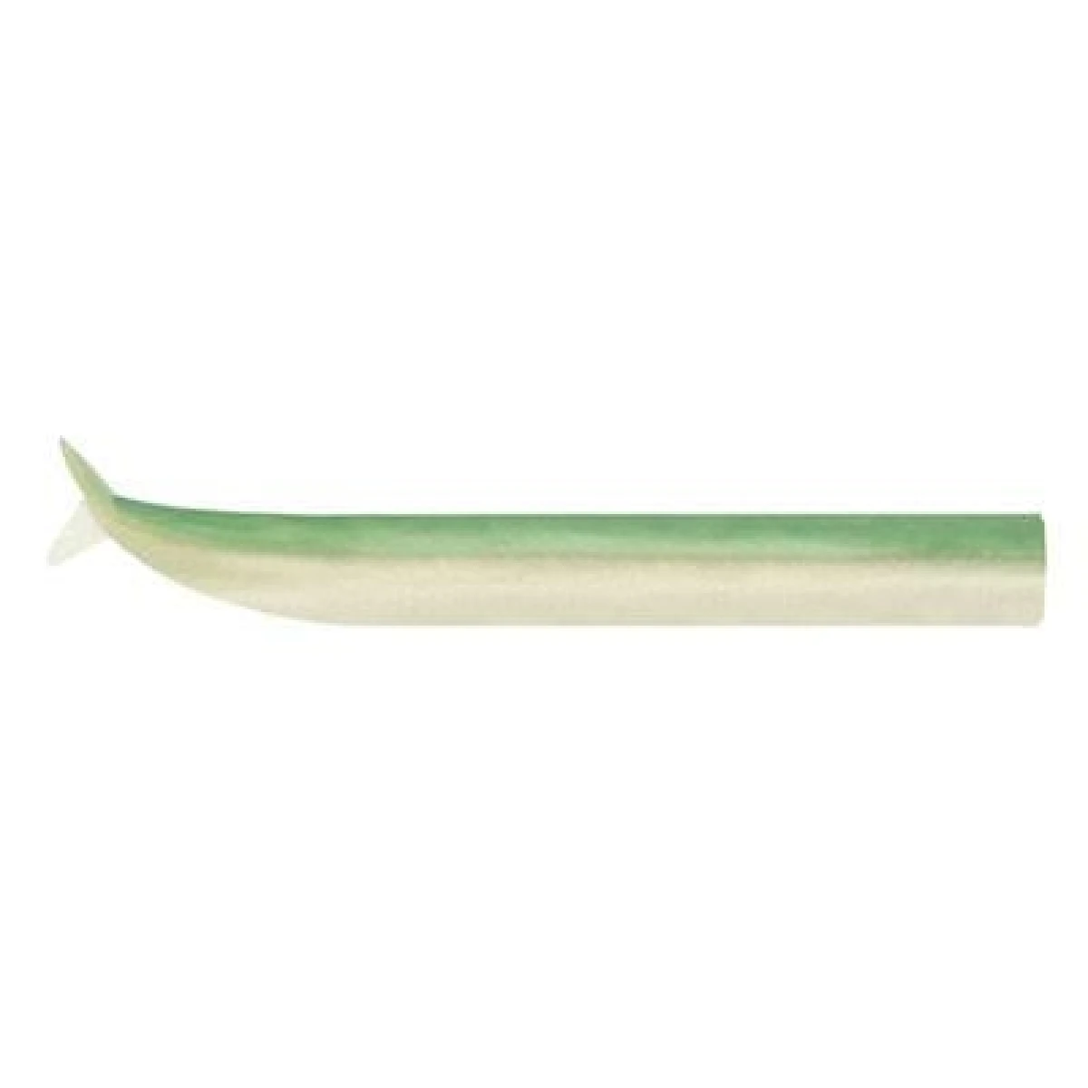 FIIISH Crazy Sand Ell 100 3 Corps Silikon Yem Vert Nacre