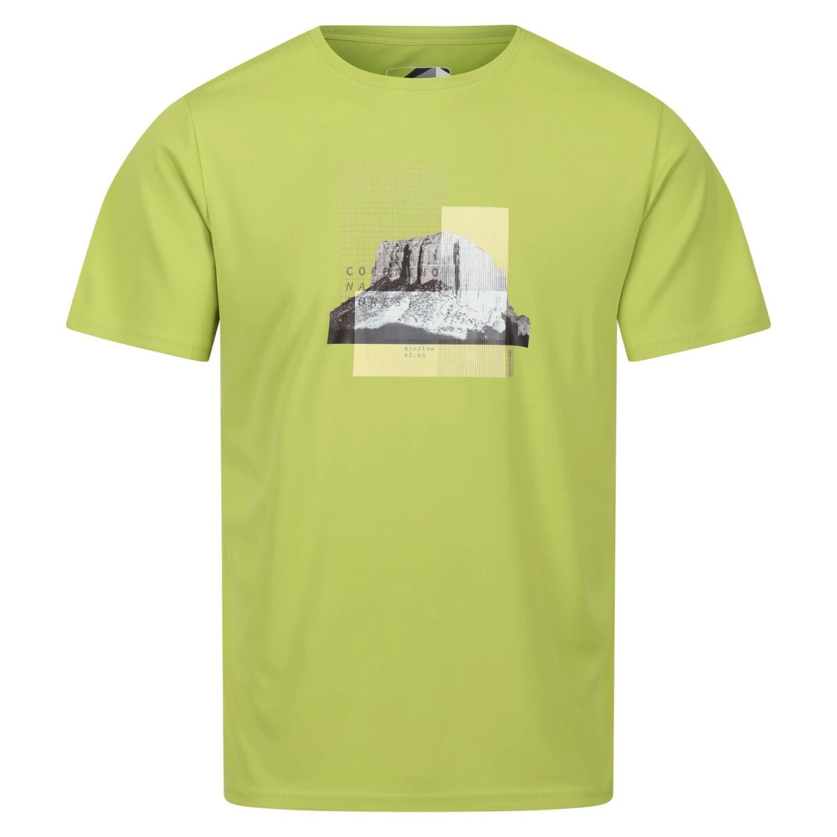 Regatta Fingal VII Erkek T-Shirt-YEŞİL - M