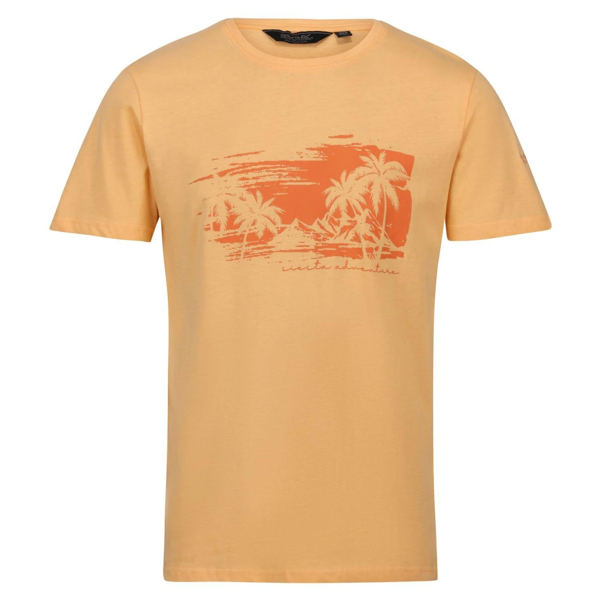 Regatta Cline VII Erkek T-Shirt-TURUNCU - XL