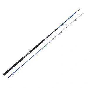 Savage Gear SGS6 Shore Jigging 10'/3.05m 30-100 gr 2 Parça