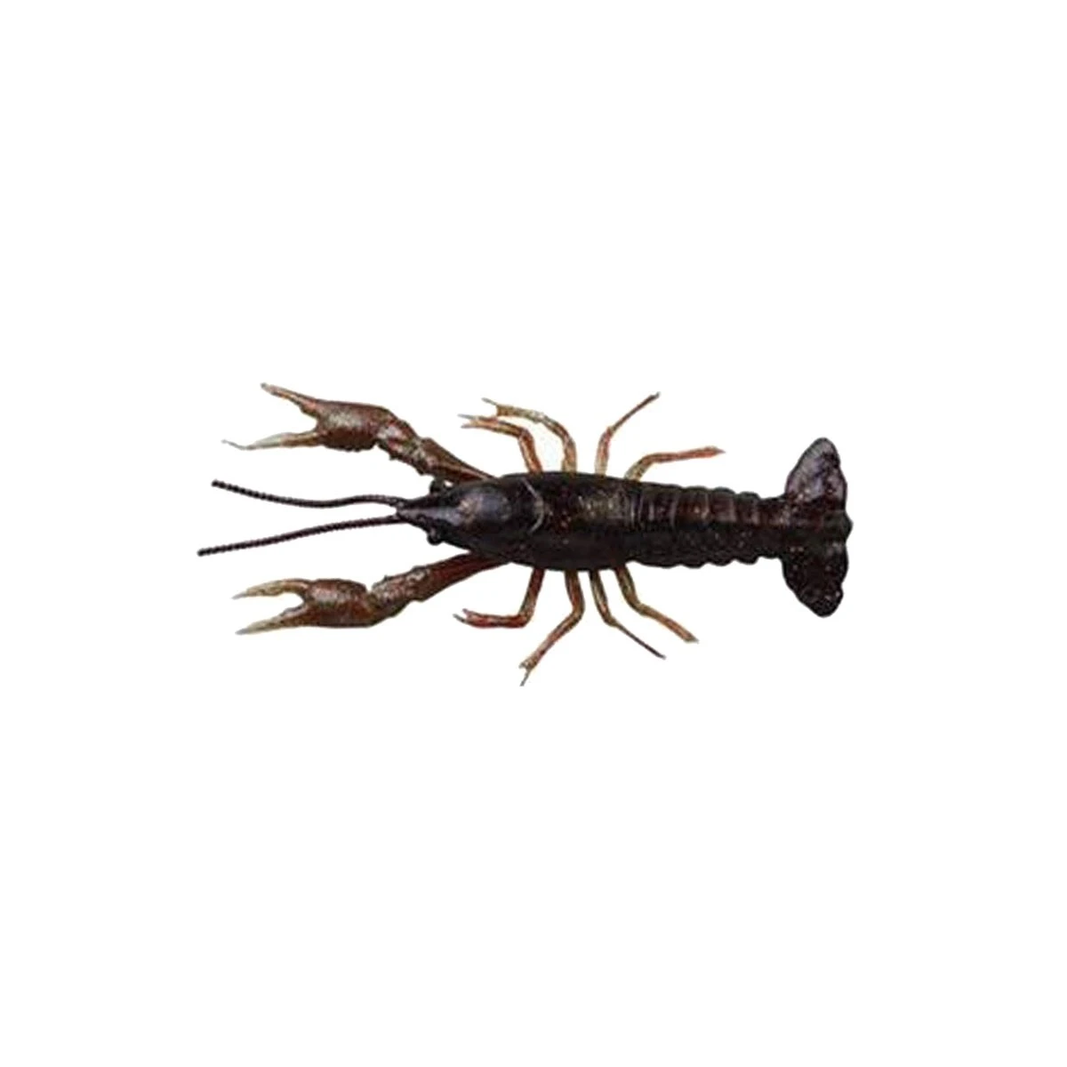 Savage gear LB 3D Crayfish 8 cm 4 gr F 4 Adet Suni Yem - Black Brown
