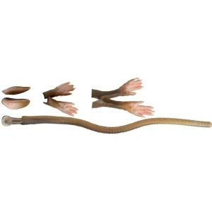 SAVAGE GEAR LB 3D Rad Maintenance Kit 20 cm Suni Yem brown