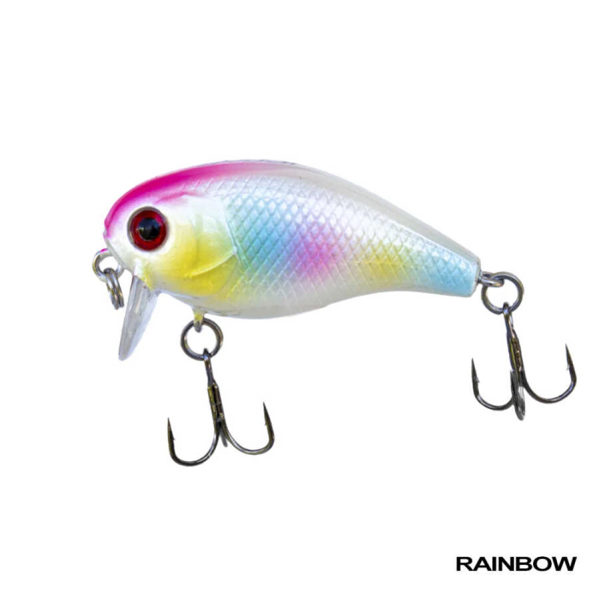 Ryuji Chubby Floating 3.8cm 4.2gr Maket Yem - RAINBOW