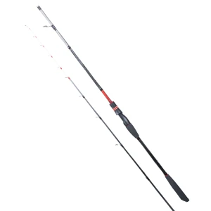 RYUJI SPECTRA SP 1.98M 70-300GR 2P BOT KAMIŞI