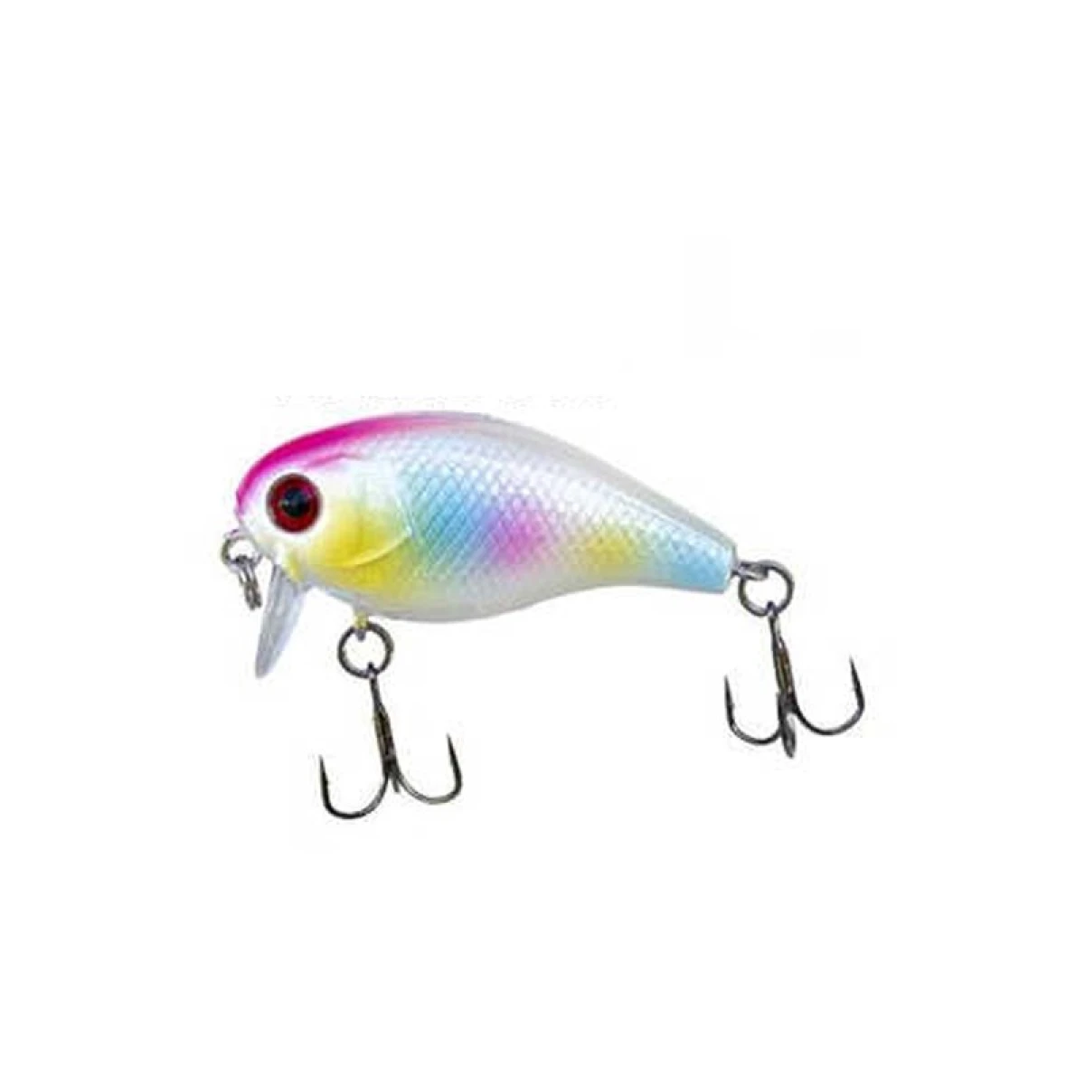 Ryuji Chubby Floating 3.8cm 4.2gr Maket Yem - RAINBOW