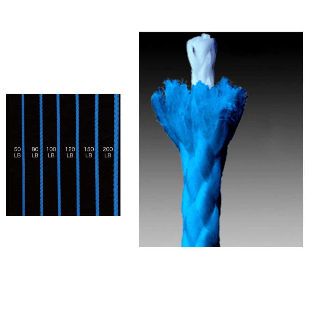 Shout Blue Assist PE Line Assist İpi - 120
