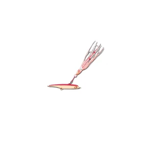 Daiwa Jig Pirates 170 Serisi Suni Yem - 19