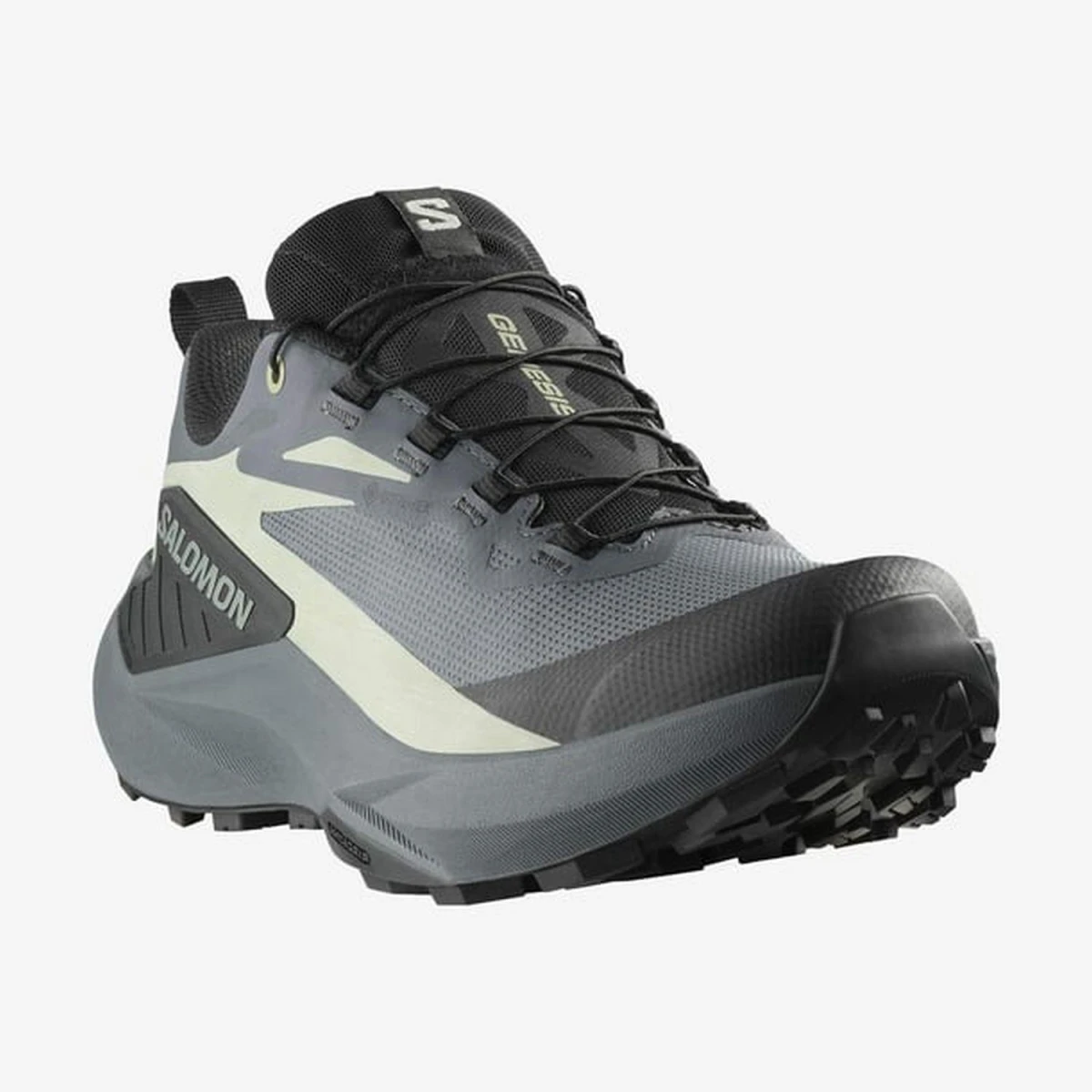 Salomon GENESIS GTX W Kadın Ayakkabı